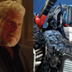 Ron Perlman in Asher, and an Optimus Primal figure.